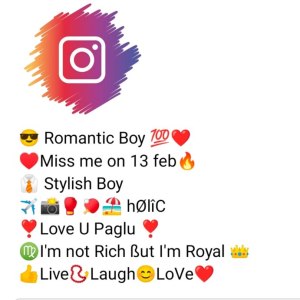 instagram bio stylish