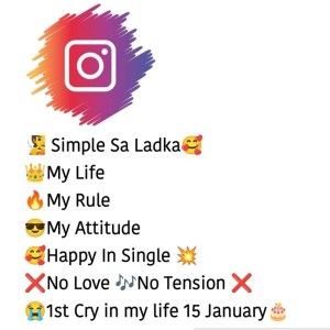 instagram stylish bio