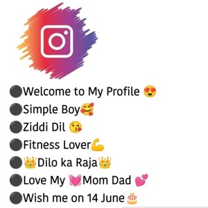 instagram vip bio for boy