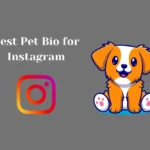 Pet Bio for Instagram