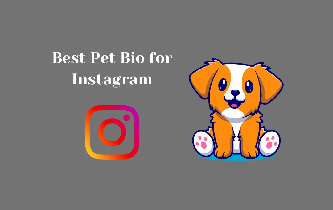 Pet Bio for Instagram