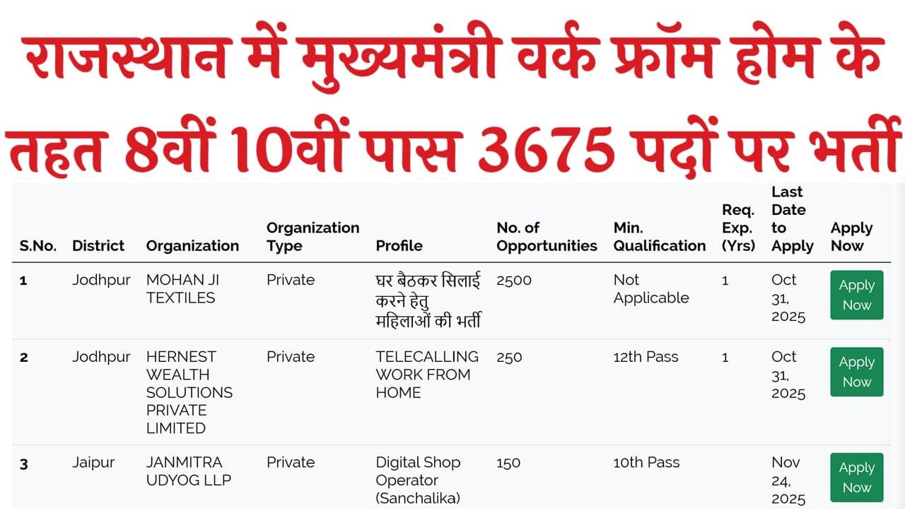 Rajasthan Work from Home Job