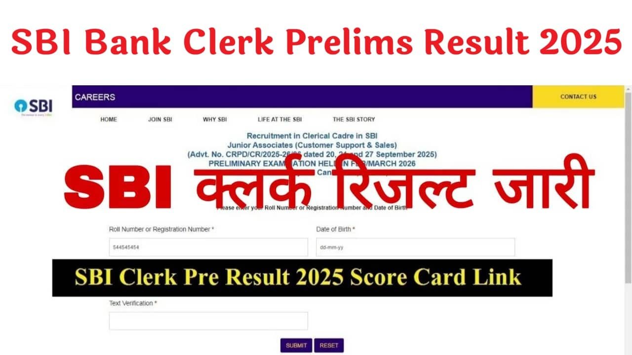 SBI Bank Clerk Prelims Result 2025